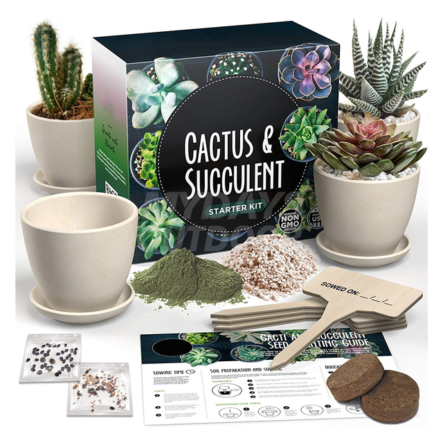 Kaktus- och saftt startpaket