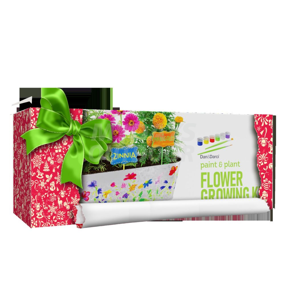 Paint & Plant Flower Gardening Kit