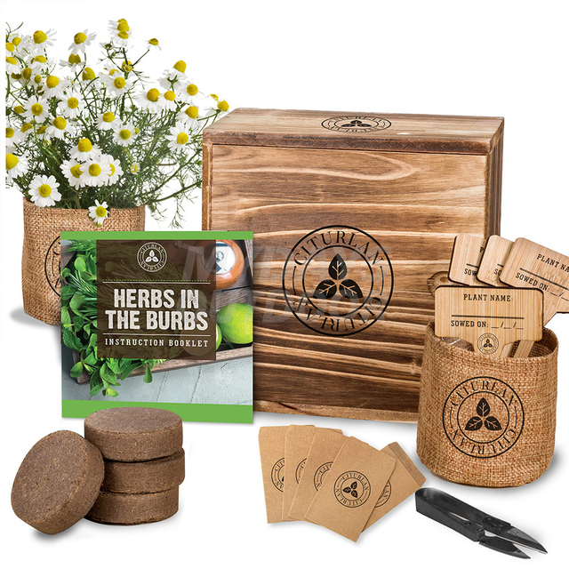 Örtstartpaket - Lavendel, kamomill, citronmeliss, myntafrön för plantering