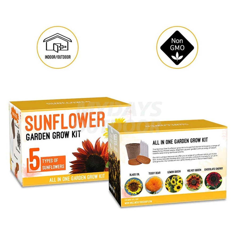 Sunflower Growing Kit Beginner Starter Kit