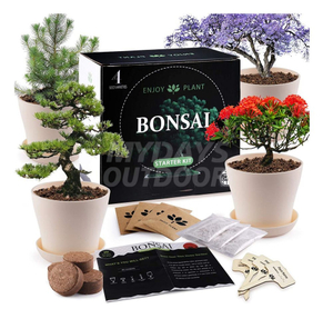 Bonsai Growing Kit - Premium Bonsai Tree Starter Kit
