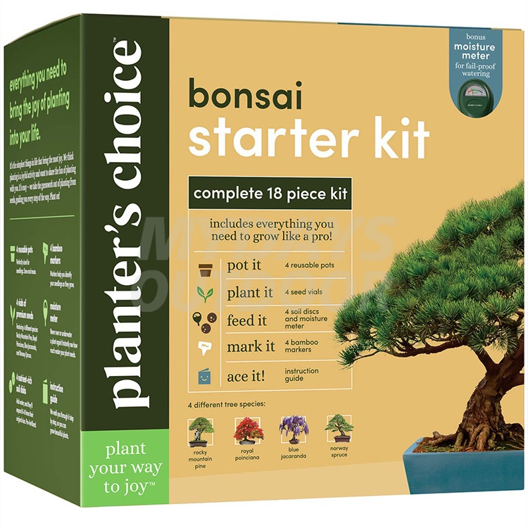 Bonsai Starter Kit Bonsai Tree Growing Garden Crafts