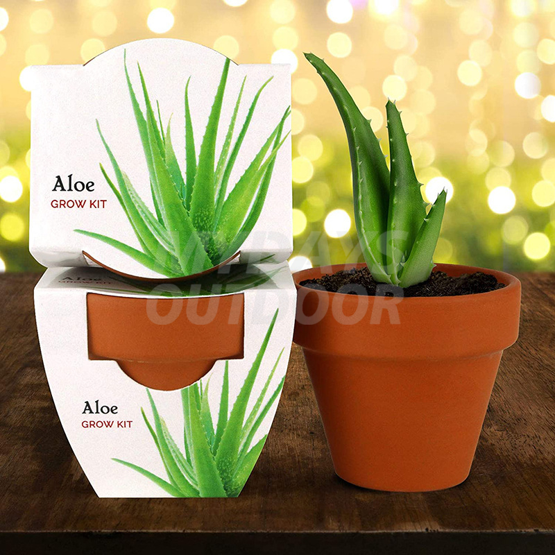 Terracotta Mini Grow Pots