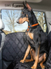 Takpan ng pintuan ng dog car mdscc-015